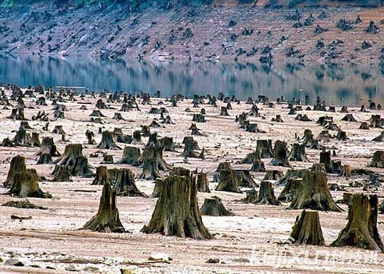 超级火山爆发或成地球毁灭主因 95%生物灭绝