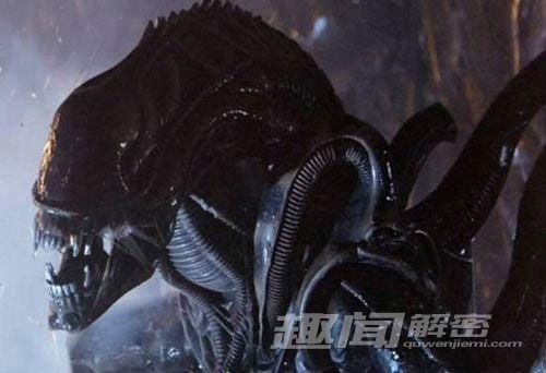 外星人入侵莫要慌 地球防御指南(3)