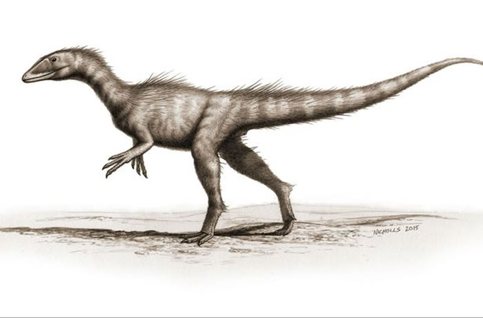 大陆漂移揭示煤炭保存的秘密(2)_探索者 _光明