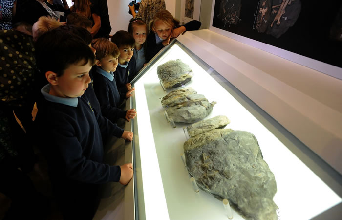 大陆漂移揭示煤炭保存的秘密(2)