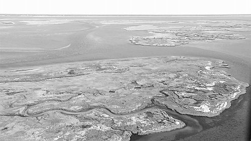 20世纪海平面上升速度史上最快