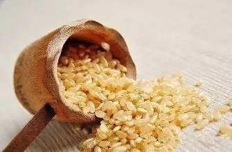 科学有料:精米or糙米,你怎么选?