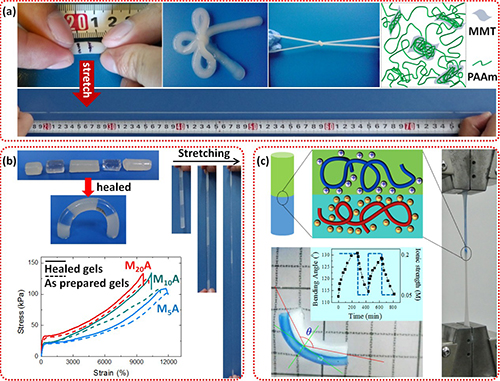 宁波材料所在纳米复合水凝胶及其器件研究方面