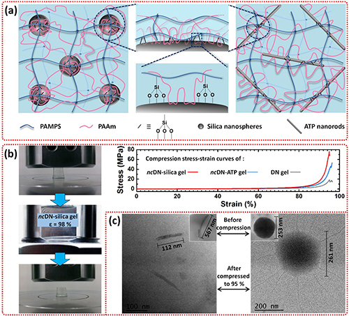 宁波材料所在纳米复合水凝胶及其器件研究方面