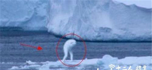 南极发现神秘外星巨人 身高竟达30米！