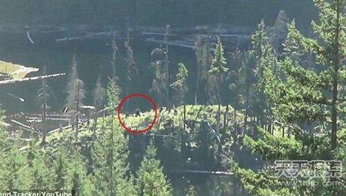 世界十大未解之谜 中国真龙现身