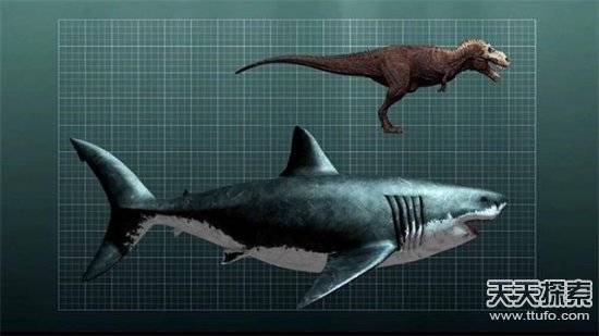 大白鲨跟巨齿鲨比只是小可爱. 巨犀 2300万年前灭绝.