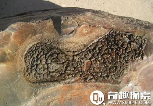 为何宇宙刚好适合人类生存?