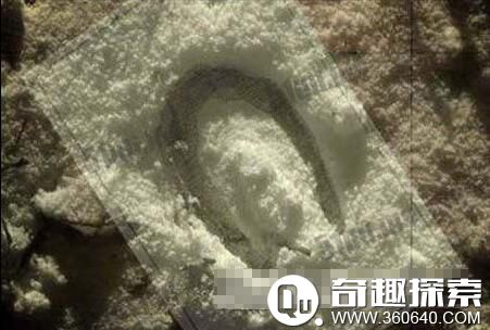 为何宇宙刚好适合人类生存?