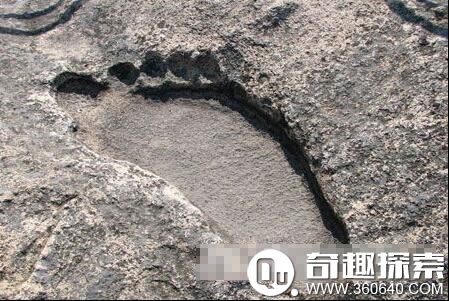 为何宇宙刚好适合人类生存?