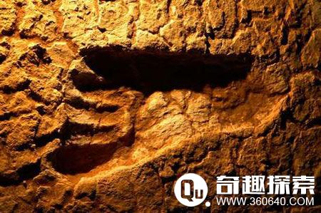 为何宇宙刚好适合人类生存?