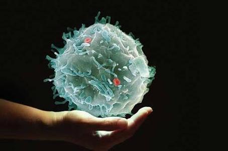 美国研发出癌症新疗法:用近红外线激活免疫细胞_科博汇_光明网