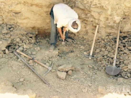 男子野外挖到奇石：切割后的发现让人震撼