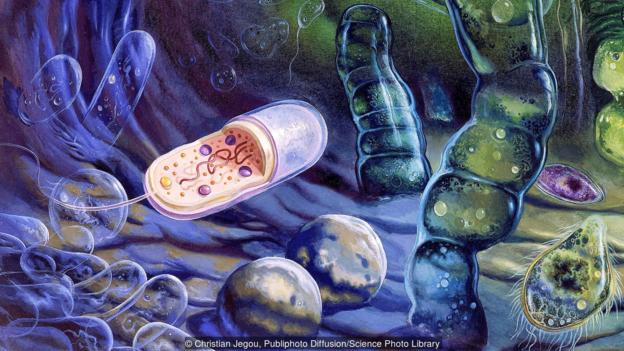 充满争议的生命起源假说:源自矿物晶体而非DNA有机分子