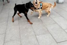 10张搞笑趣图﹐发誓再也不敢买这种泳衣了~