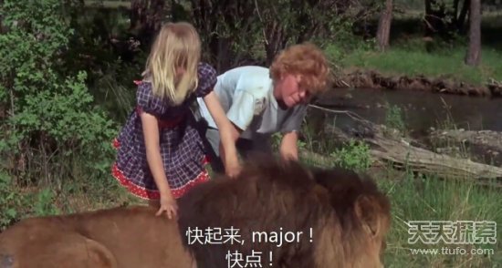 小男孩在野外遭遇黑熊袭击:结局让人吃惊 _探
