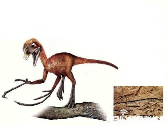 世界十大迷你恐龙 最小恐龙只有几厘米!