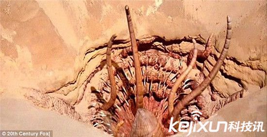 考古发现5.2亿年前新物种 恐怖生物满口牙齿