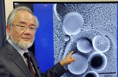 诺贝尔奖获得者大隅良典:做没人做的事很快乐