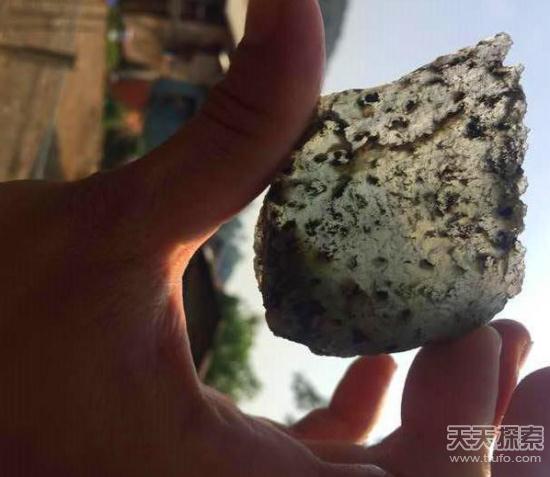 男子爬山捡到一颗怪石 专家鉴定后发财了