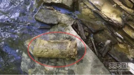 男子爬山捡到一颗怪石 专家鉴定后发财了