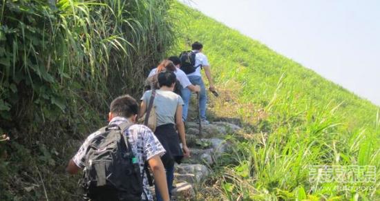 男子爬山捡到一颗怪石 专家鉴定后发财了