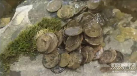 男子爬山捡到一颗怪石 专家鉴定后发财了