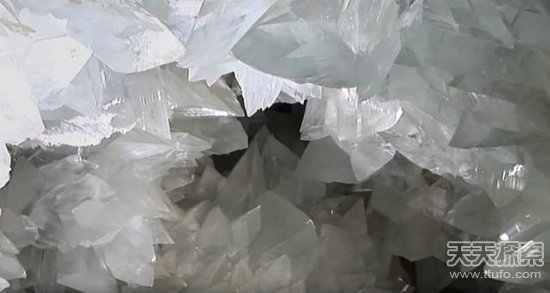 男子爬山捡到一颗怪石 专家鉴定后发财了