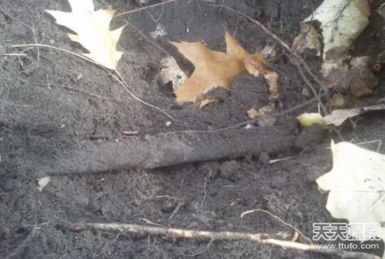 男子爬山捡到一颗怪石 专家鉴定后发财了