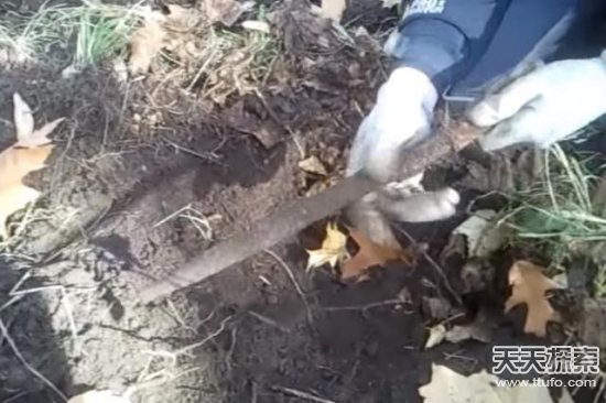 男子爬山捡到一颗怪石 专家鉴定后发财了