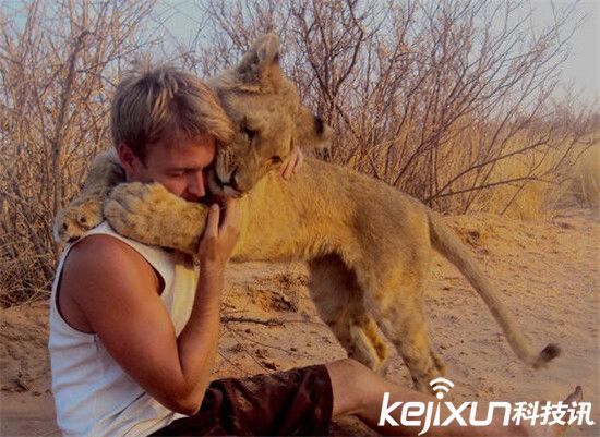 凶猛母狮子看见人类就猛地扑了上去!然而结果。。。
