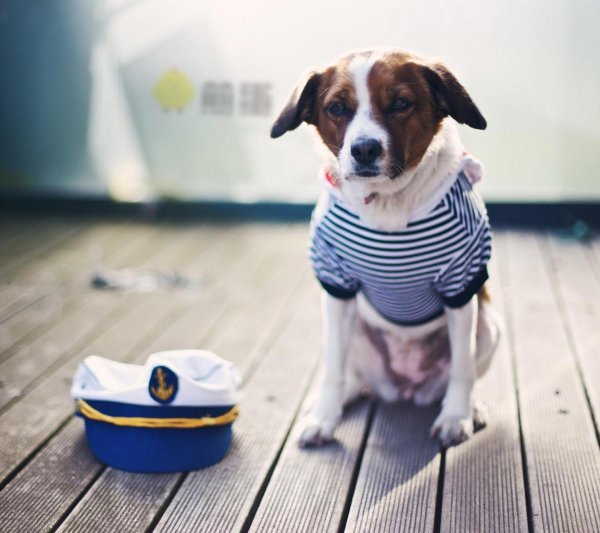 发霉啦:今天,新室友给我发了个图片 _探索者 _