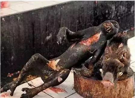 变异野猪的电影图片