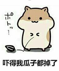 燃烧的动态是科学做的专家无宝宝依据粉丝冯表情包塑料图片
