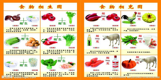 蘑菇茄子同食有毒?食物相克不靠谱(1)_知了