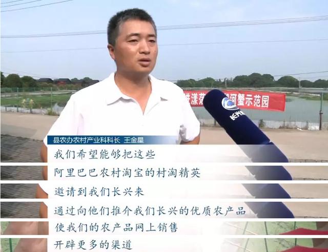 淘出乡村致富路!农村淘宝让浙江长兴千斤葡