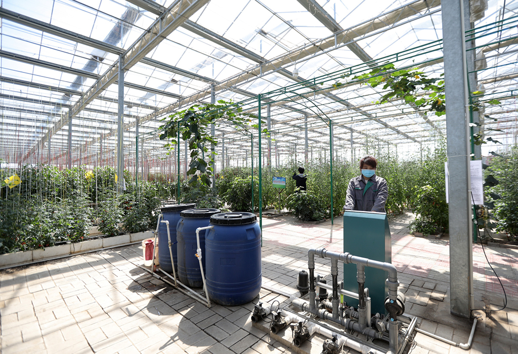 河北省饶阳县一家现代农业示范园区工人在智慧温室操作水肥一体化设施