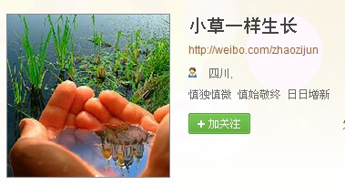 成都某教育局领导与<em>大胸女微博</em>调情 引网友围