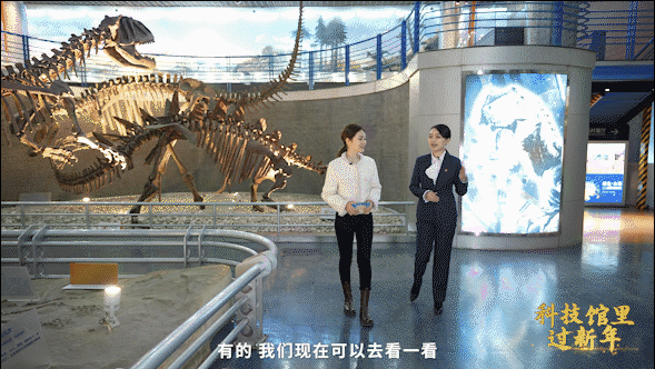 科技馆里过新年｜来北京自然博物馆追溯大鲵的前世今生