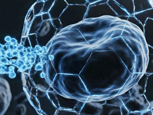 撕掉肿瘤细胞“隐身衣”!我国科学家在攻克癌症免疫耐受难题上有新突破