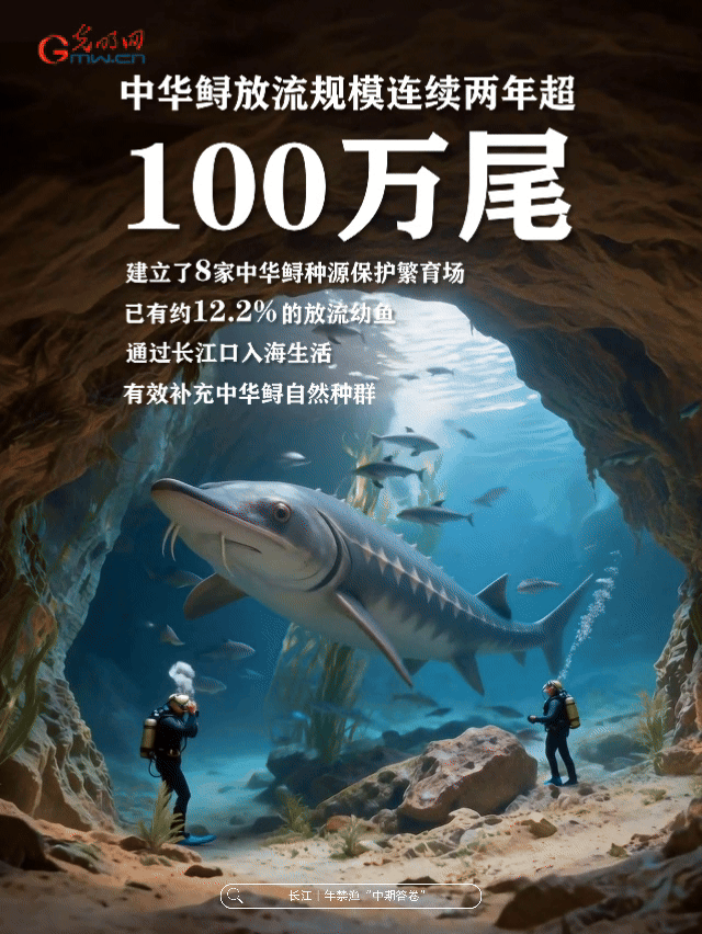 动态海报丨母亲河，豚“丁”旺！数说长江十年禁渔中期答卷