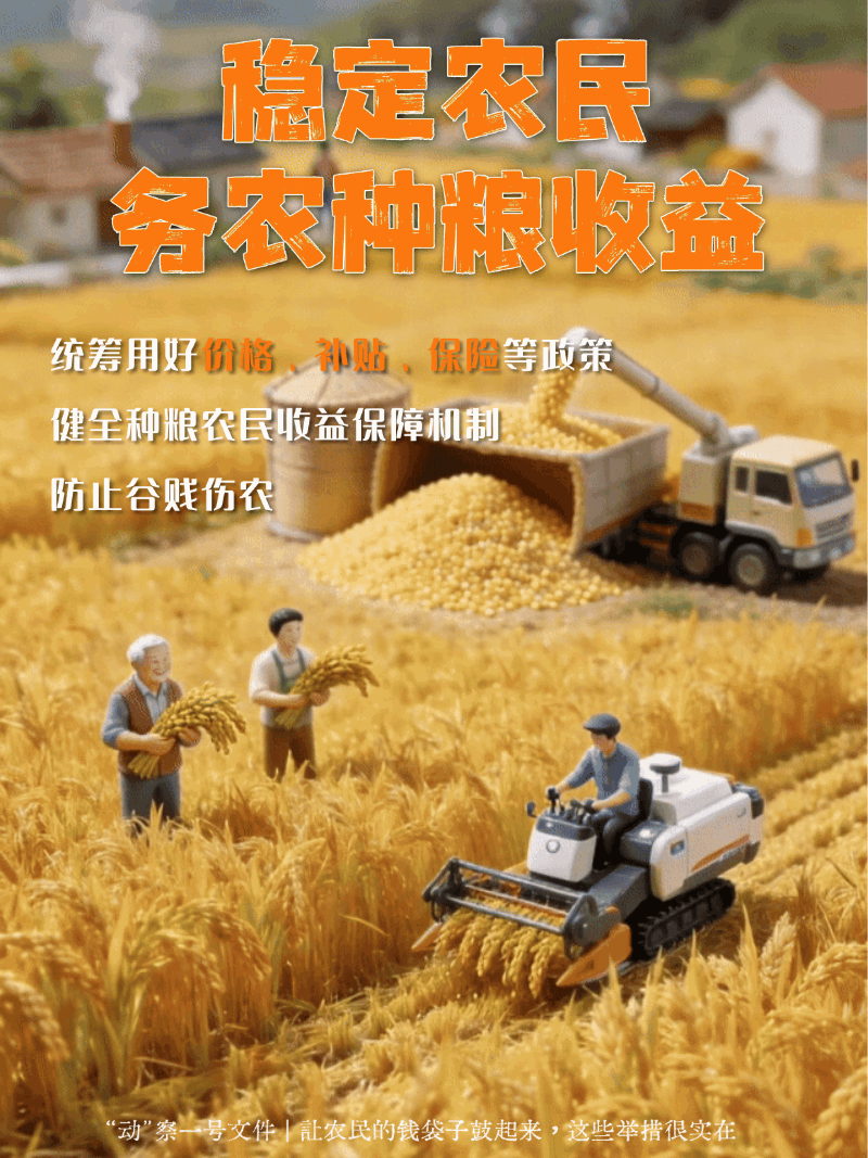 “动”察一号文件｜农民腰包鼓起来，这些举措很实在