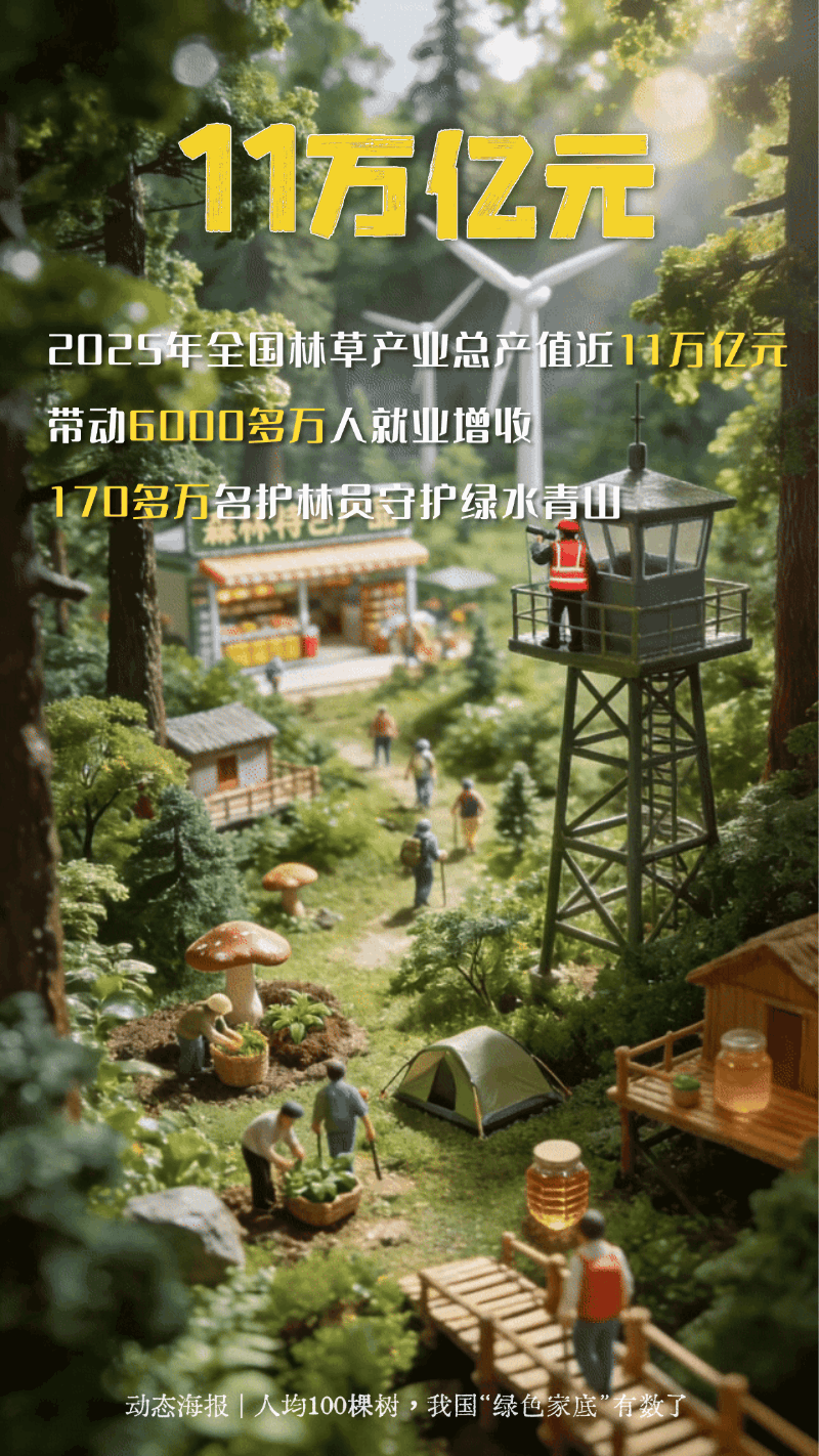 人均100棵树！一组动态海报看我国“绿色家底”