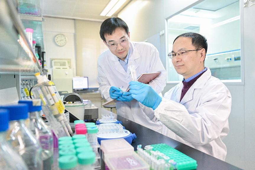 我国科学家突破蛋白质降解技术瓶颈 为疾病治疗提供新策略