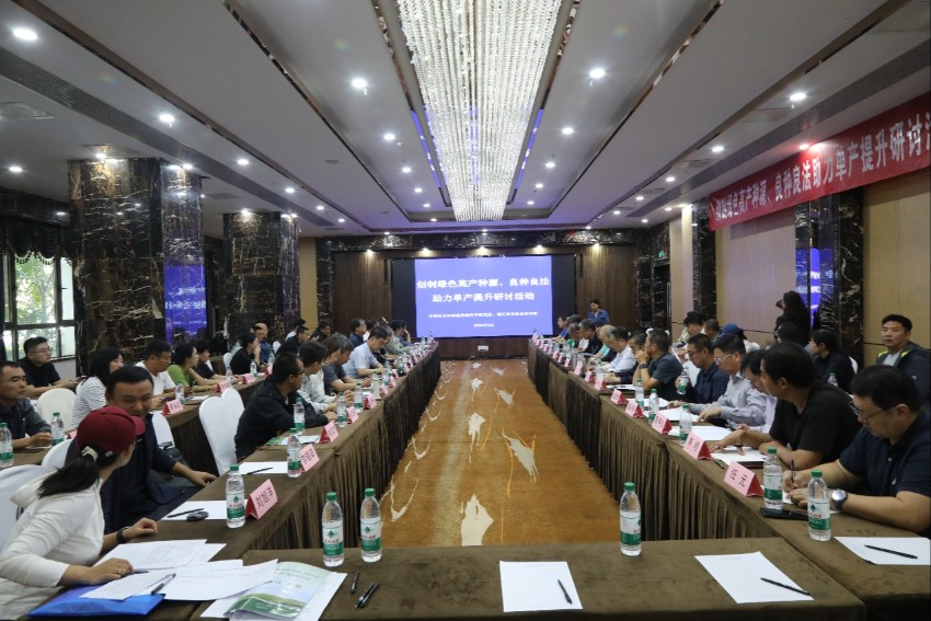 良种良法协同发力 助力秋粮大面积单产提升