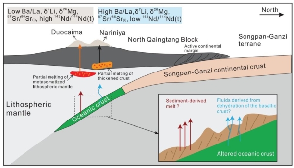 地质地球所利用Mg-Li同位素揭示青藏高原中部残余洋壳的存在及其意义