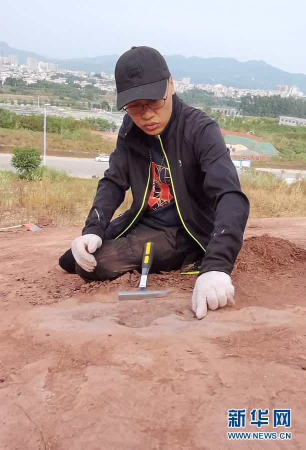 福建首次发现恐龙存在的证据
