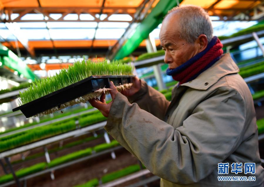 青海果洛：科技助力农牧业生产
