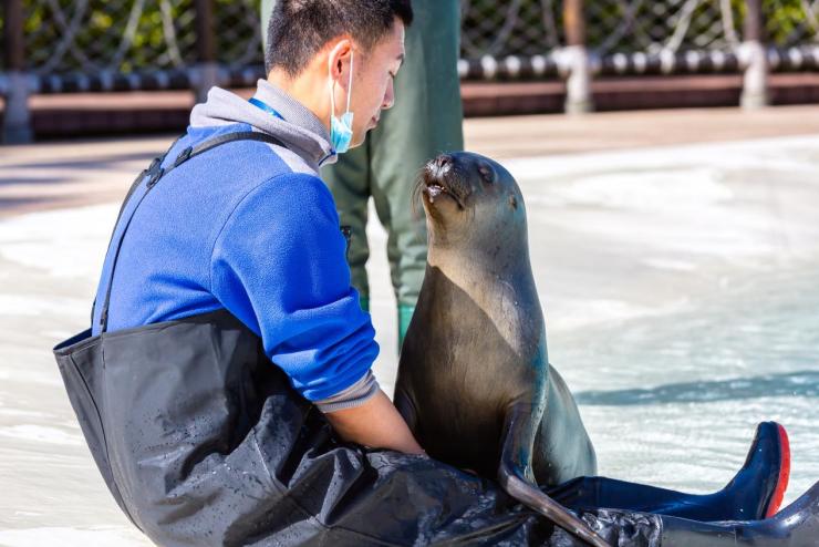 景区春节不打烊背后 有他们在守护幸福生活