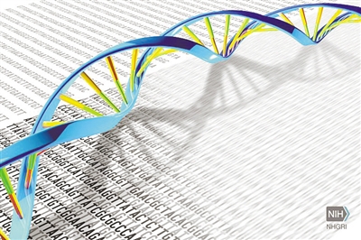 人类基因组新数据集反映25个人种间遗传差异